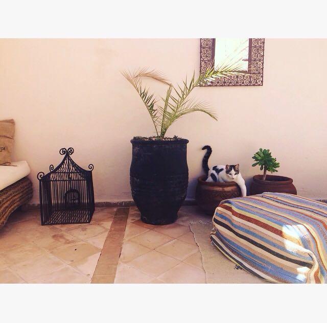 Riad Nejma Lounge Marraquexe Exterior foto