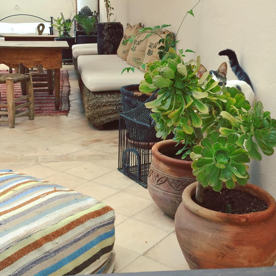 Riad Nejma Lounge Marraquexe Exterior foto